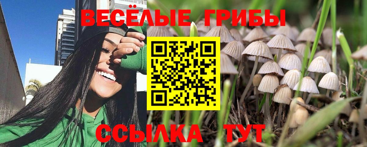 Псилоцибиновые грибы Psilocybine cubensis Дзержинский